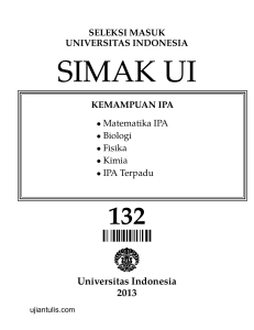 Universitas Indonesia 2013 - Kisi