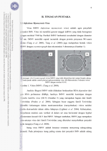 BAB II Tinjauan Pustaka