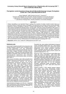 Increasing Airway Smooth Muscle Apoptosis has a Relationship with