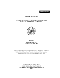 isolasi actinomycetes dari tanah sawah sebagai penghasil antibiotik