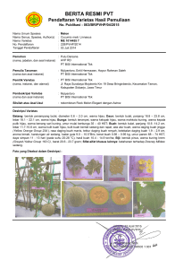 berita resmi pvt - Pusat Perlindungan Varietas Tanaman dan