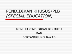 pendidikan khusus/plb (special education)