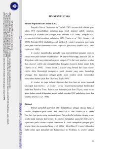 Pengelolaan Lingkungan Pasca-Amdal, Ukl/Upl