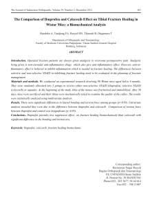 The Comparison of Ibuprofen and Celecoxib Effect on Tibial