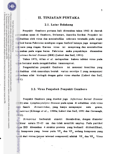 Pengaruh Beberapa Subtipe Virus Inftections