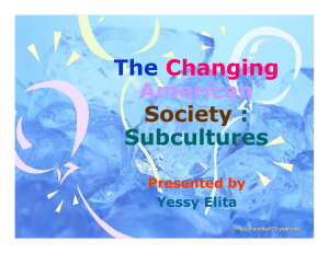 The Changing American Society : Subcultures