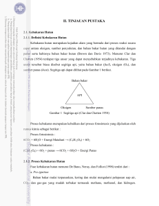 BAB II Tinjauan Pustaka