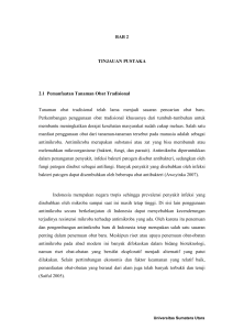 19 BAB 2 TINJAUAN PUSTAKA 2.1 Pemanfaatan Tanaman Obat