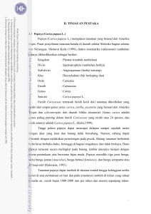 3 II. TINJAUAN PUSTAKA Pepaya (Carica papaya L.)