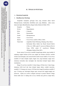 Kajian Etnobotani Dan Aspek Konservasi Sengkubak