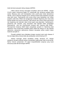 Adult dominant polycystic kidney disease (ADPKD) Infeksi