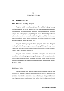 BAB 2 TINJAUAN PUSTAKA 2.1. KERANGKA TEORI 2.1.1. Definisi