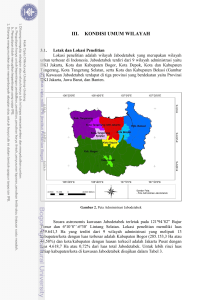 iii. kondisi umum wilayah