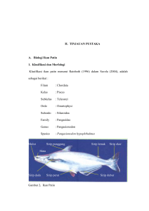 9 II. TINJAUAN PUSTAKA A. Biologi Ikan Patin 1. Klasifikasi dan