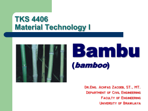 bamboo - about Civil Engineering