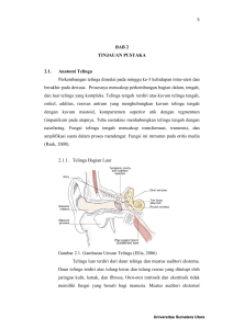 5 BAB 2 TINJAUAN PUSTAKA 2.1. Anatomi Telinga Perkembangan