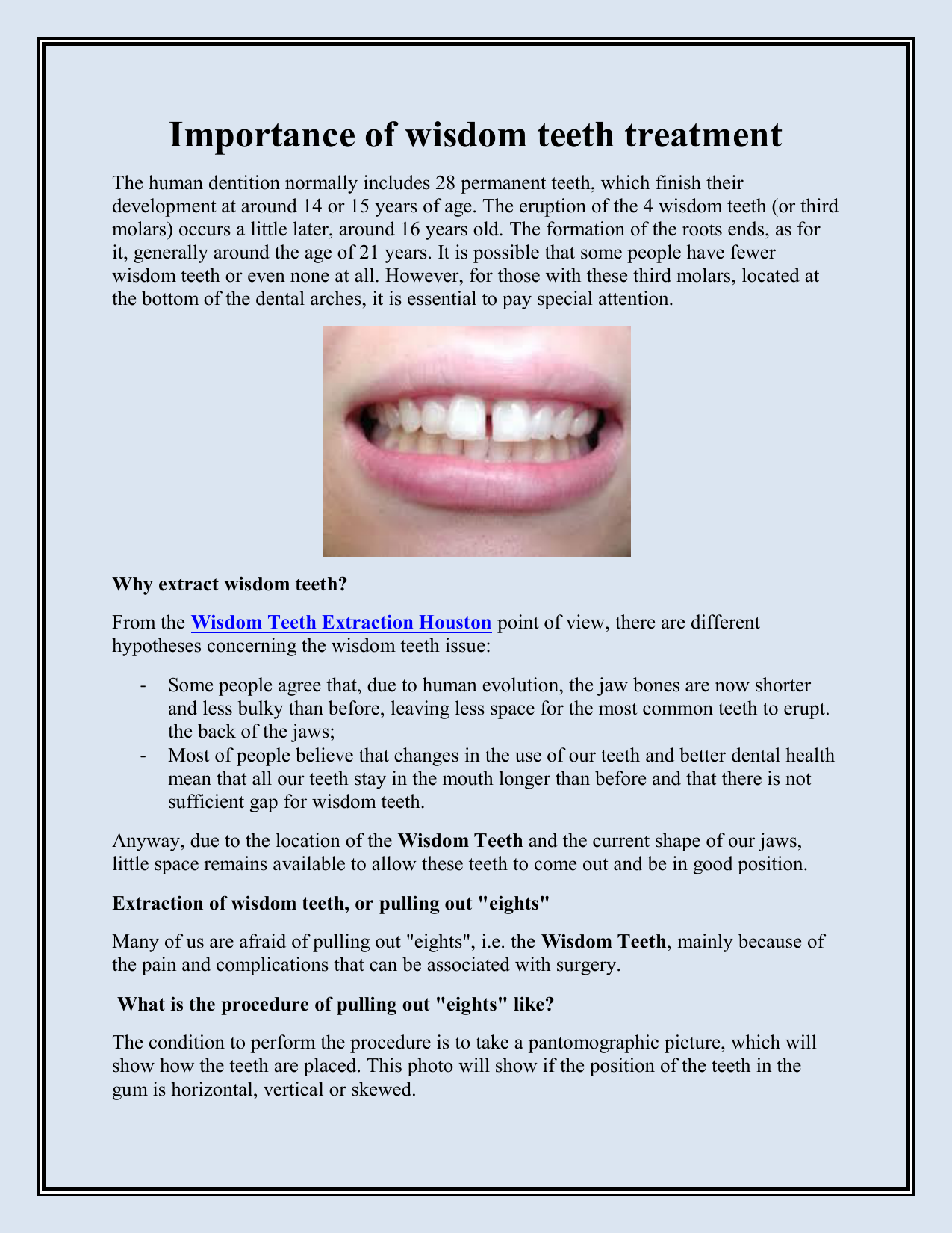 essay on the importance of teeth