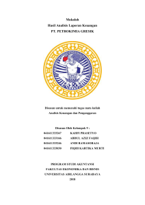 Makalah Analisis Laporan Keuangan PT Petrokimia Gresik 2013-2017