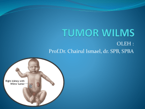 346803044-Tumor-Wilms-02