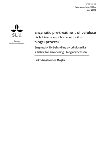 Enzymatic pre-treatment of cellulose