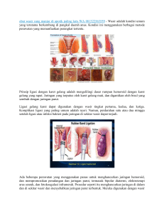 obat wasir yang manjur di apotik paling laris WA 081322563559