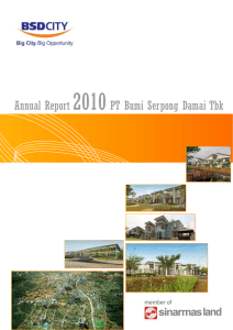 BSDE - Annual Report 2010