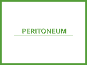 Aliran Peritoneum