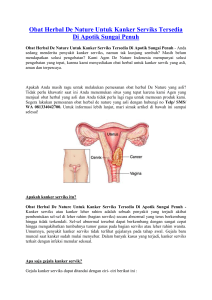 Obat Herbal De Nature Untuk Kanker Serviks Tersedia Di Apotik Sungai Penuh