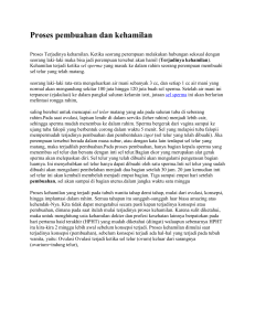 Proses Pembuahan dan Kehamilan: Fertilisasi dan Perkembangan Janin