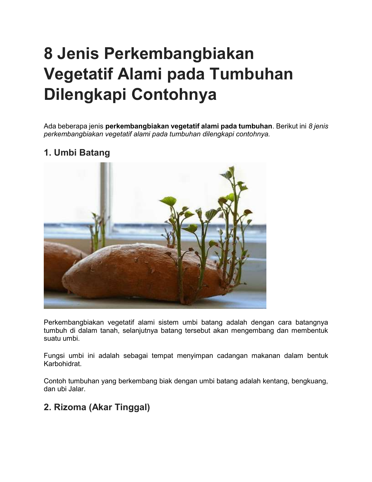 8 Jenis Perkembangbiakan Vegetatif Alami Pada Tumbuhan Dilengkapi Contohnya
