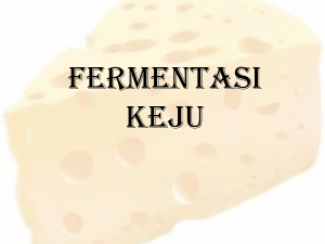 FERMENTASI KEJU