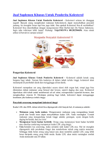 Jual Suplemen Khusus Untuk Penderita Kolesterol