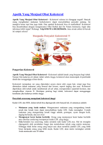 Apotik Yang Menjual Obat Kolesterol