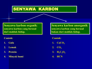hidro-karbon