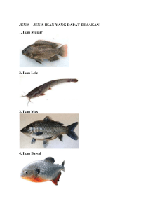 Senarai Jenis Ikan Yang Dapat Dimakan