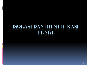 Isolasi dan Identifikasi Fungi - Materi Mikologi