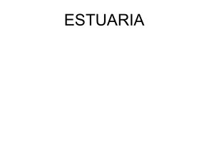 Ekosistem Estuaria  (2) - Copy