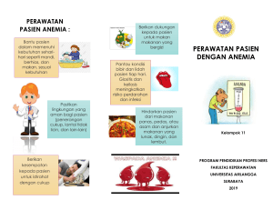 Leaflet Perawatan Pasien Anemia_Profesi Ners Universitas Airlangga