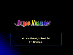 Organ vasculer