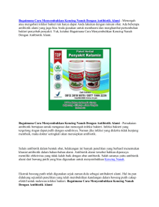 Bagaimana Cara Menyembuhkan Kencing Nanah Dengan Antibiotik Alami