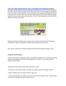Call Center Obat Kutil Kelamin De Nature Asli Di Banyuates Kabupaten Sampang