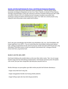 Kontak Asli Obat Kutil Kelamin De Nature Asli Di Burneh Kabupaten Bangkalan