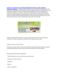 Nomor WA Customer Service Obat Kutil Kelamin De Nature Asli Di Camplong Kabupaten Sampang