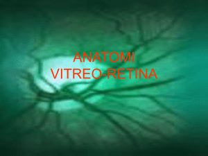ppt retina