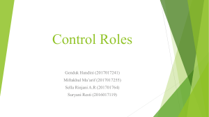 CONTROL ROLES
