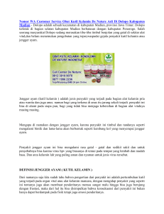 Nomor WA Customer Service Obat Kutil Kelamin De Nature Asli Di Dolopo Kabupaten Madiun