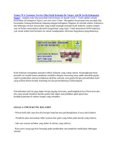 Nomor WA Customer Service Obat Kutil Kelamin De Nature Asli Di Gerih Kabupaten Ngawi