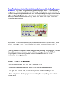 Nomor WA Customer Service Obat Kutil Kelamin De Nature Asli Di Gondang Kabupaten Bojonegoro