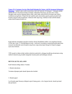 Nomor WA Customer Service Obat Kutil Kelamin De Nature Asli Di Jenangan Kabupaten Ponorogo