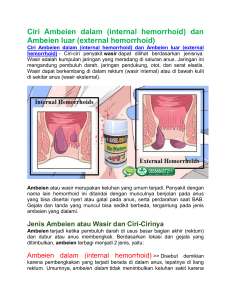 Ciri Ambeien dalam (internal hemorrhoid) dan Ambeien luar (external hemorrhoid)